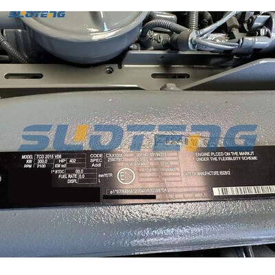 TCD2015V06 TCD2015 V06 Motore Diesel Assemblato Completo