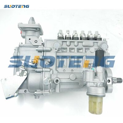 0423-4301 Pompa di iniezione del carburante per motore BF6L914